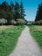 My stunning aunt lt;