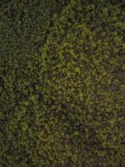 lt;lt;lt;Reborn Soar