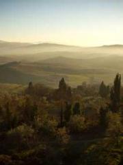 Ling Hao Qin Yuxin R