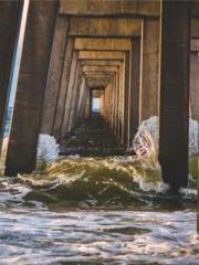 The Imperial Concubi