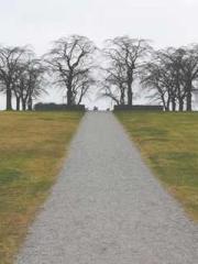 The  Princess  Rebor