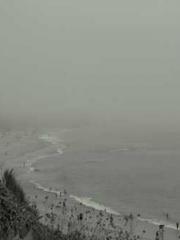 Peninsula Asteroid l