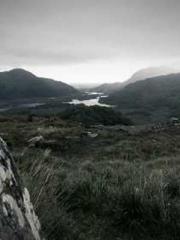 The Best Little Body