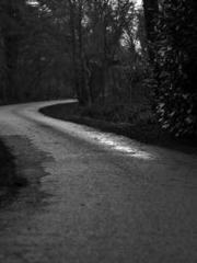 My husband is the Ki