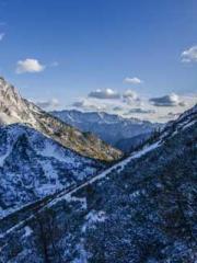 Super husband Lin Xi