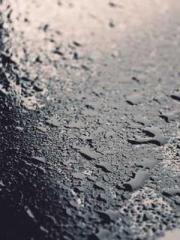 Reborn in 1989: Crea