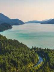 The Wife of My Heart