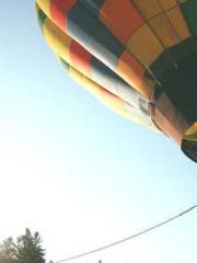 lt;Marry at first si