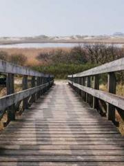 Fāng Chénlín Xuěyán