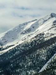 The Exclusive Daught