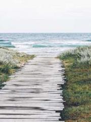 lt;lt; The Divine Do