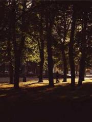 Yellow Spring Expres