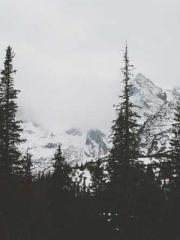 lt;Diga: From Jetton