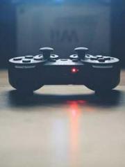 One Pregnancy, Two B