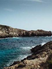 King of the Nine Pro