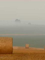 Girlfriends  lt;/pgt