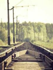 lt;Marry at first si