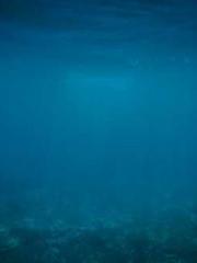 Become a big shot in