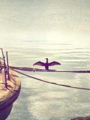 The Imperial Uncleap