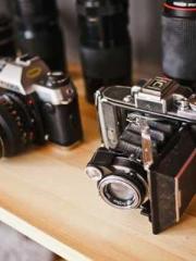 lt;Gingerly, Shen Qi