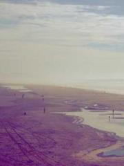 The Rough Man Hunter